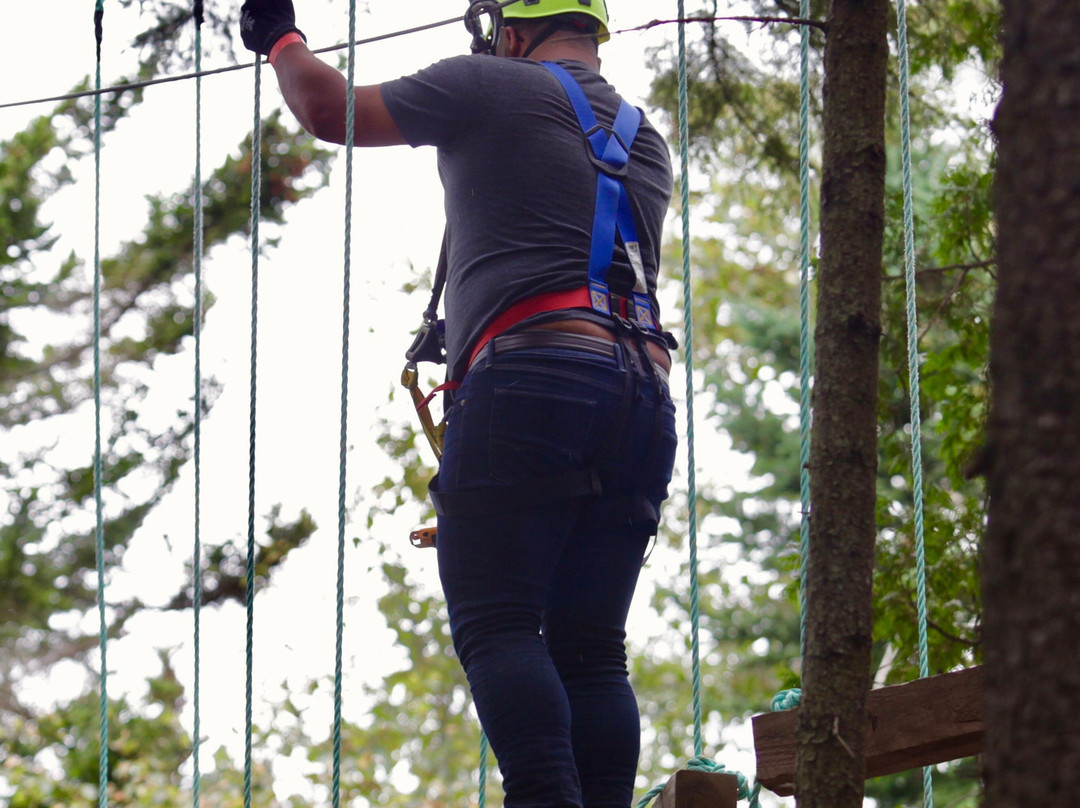 TimberTop Adventures-圣约翰必去景点