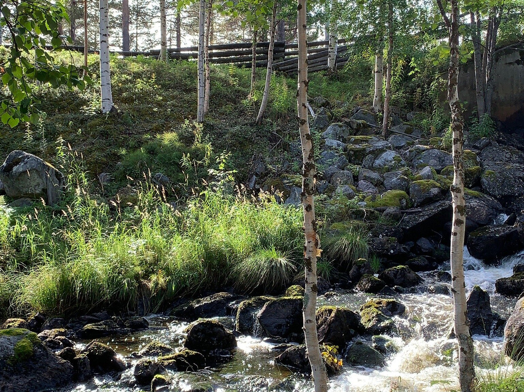 Jokkmokks Fjalltradgard景点图片