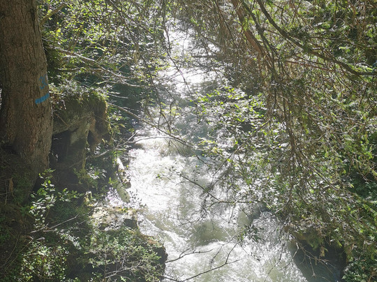 Bed and Breakfast Veronica主图