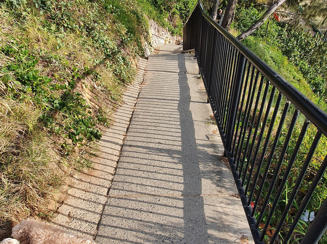 Miami Stairs-Miami必去景点