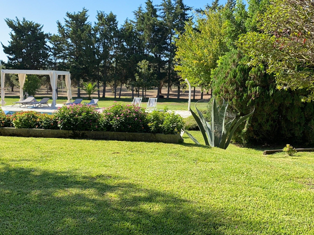 Olive Garden House主图