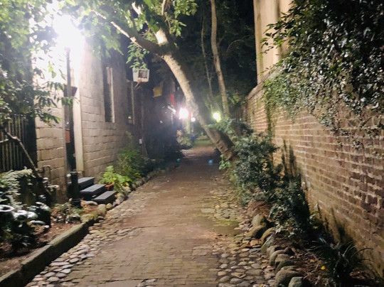 Charleston Cavalier Tours-查尔斯顿必去景点