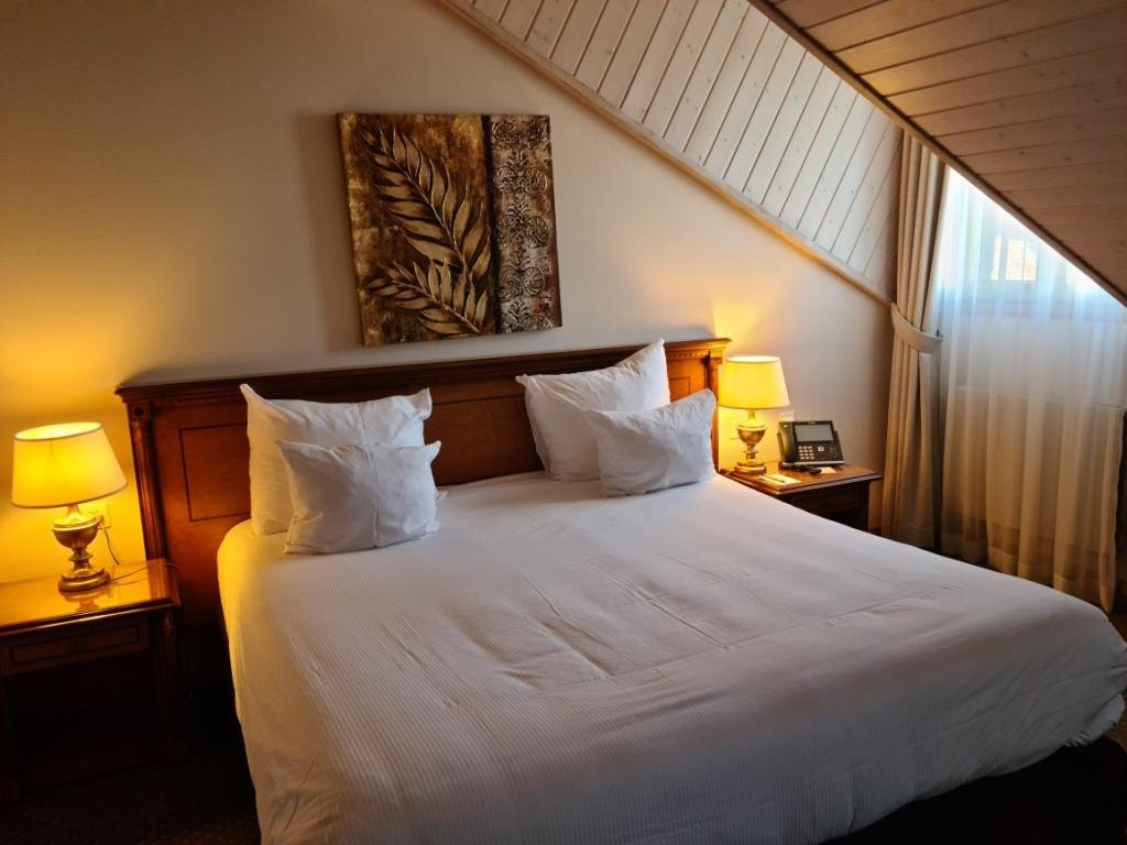 Hotel Le Rive主图