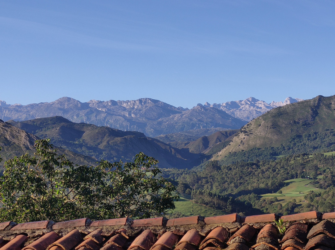 La Montaña Mágica主图