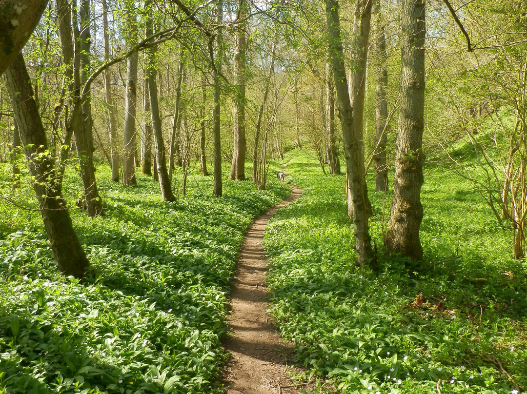 Deepdale Nature Reserve-Barnard Castle必去景点