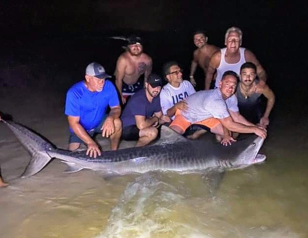 Off The Beach Shark Fishing Day Trips景点图片
