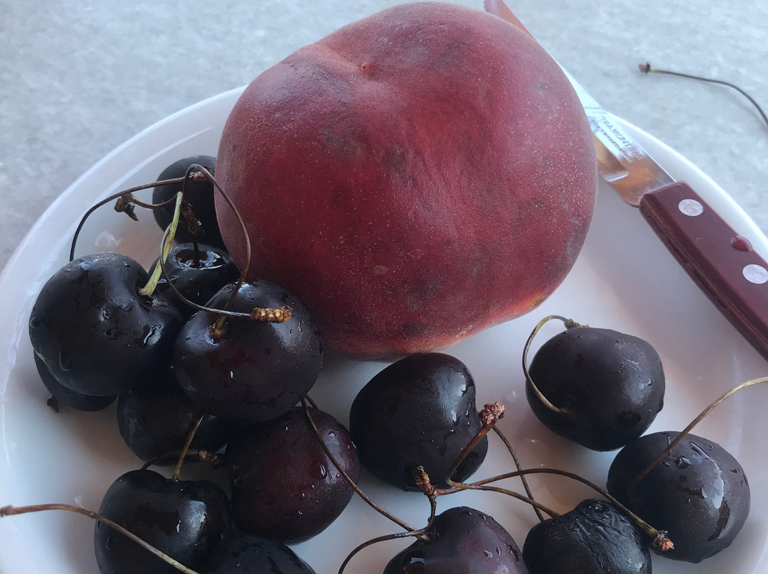 Marianna House主图