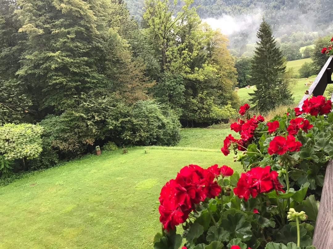 Nature Hotel Lukanc主图