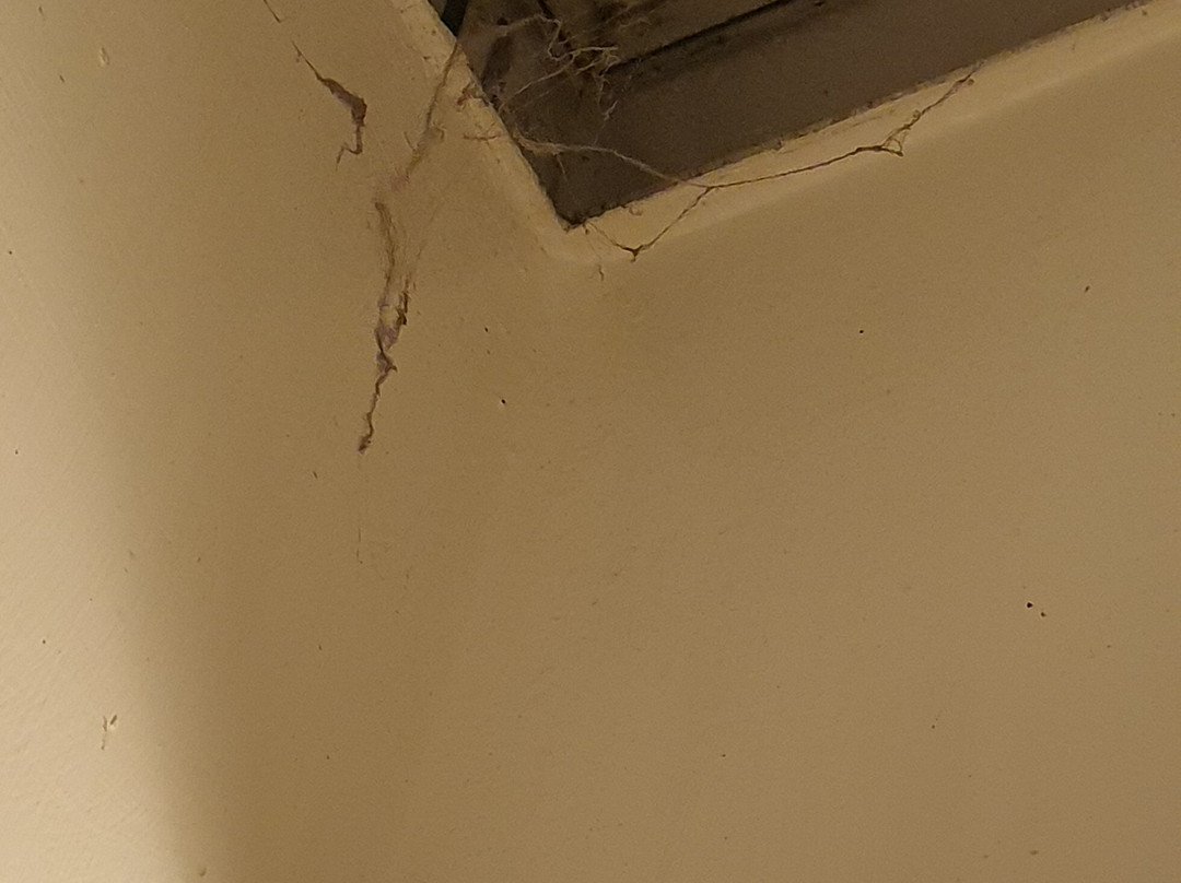 The Brentwood Hotel主图