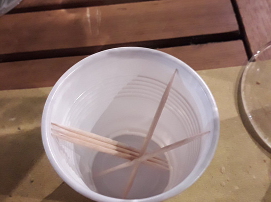 Spiaggia Regina-安济奥必去景点