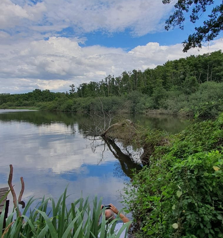 Biological Station Krickenbecker Seen景点图片