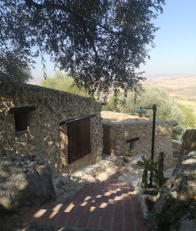 Roba Degli Ulivi B&B主图