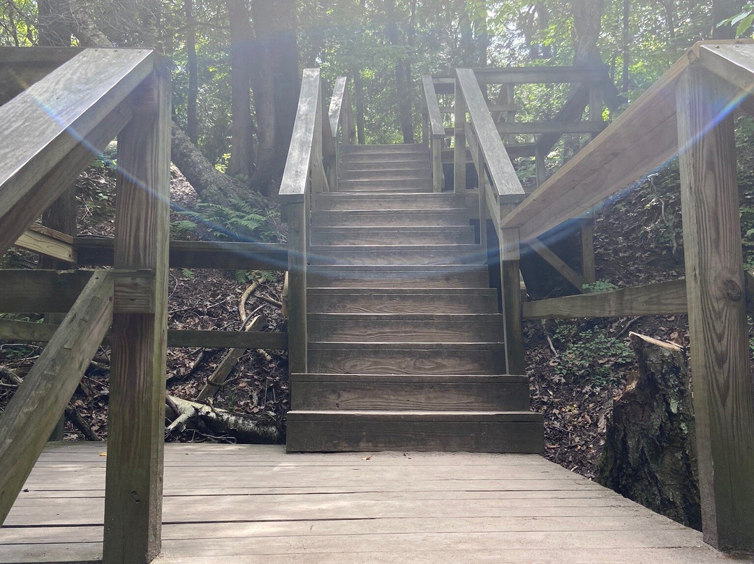 Lion's Den Gorge Nature Preserve景点图片