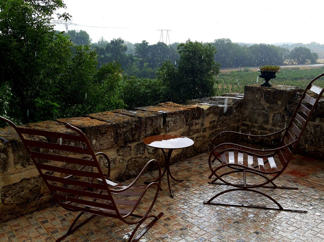 Logis Hôtel Demeure de la Vignole主图