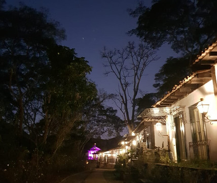 加里奥农庄主图