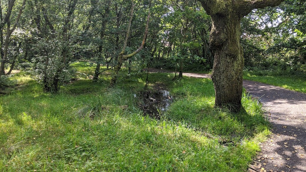 Lenzie Moss-Lenzie必去景点