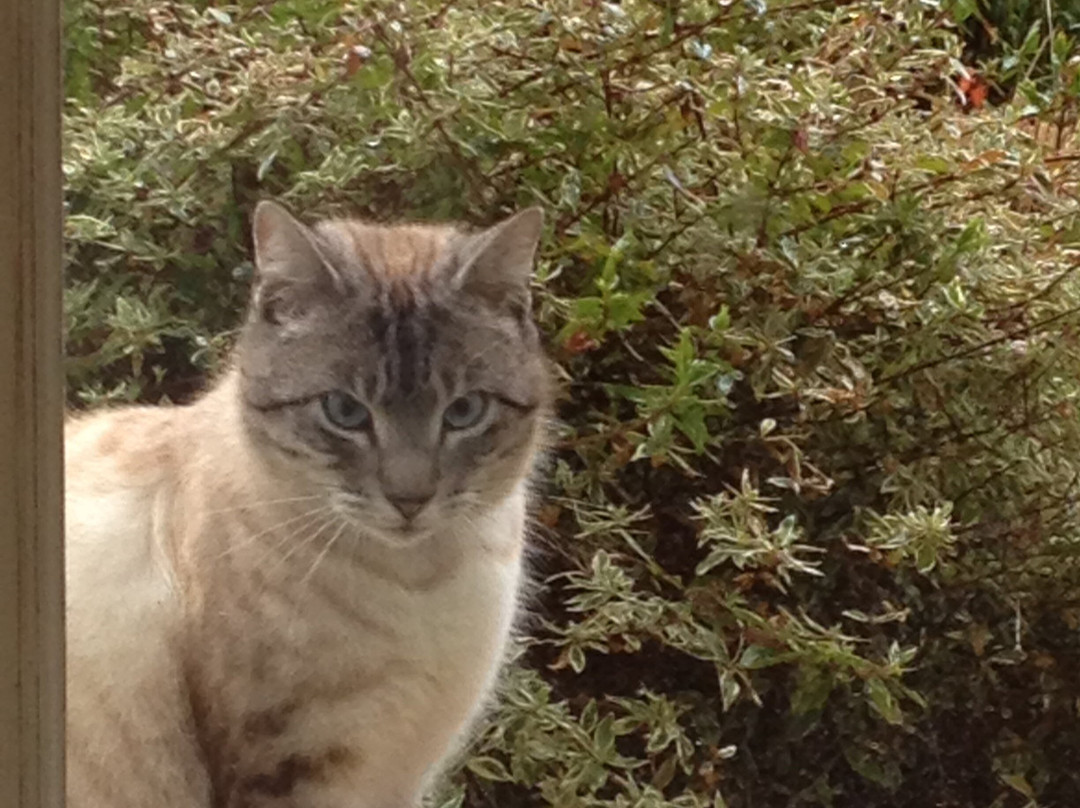 Logis du Grand Moulin主图