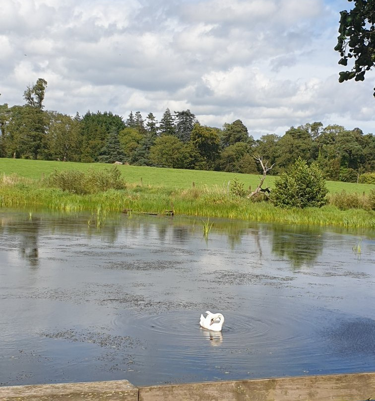 Russborough House & Park-Wicklow必去景点