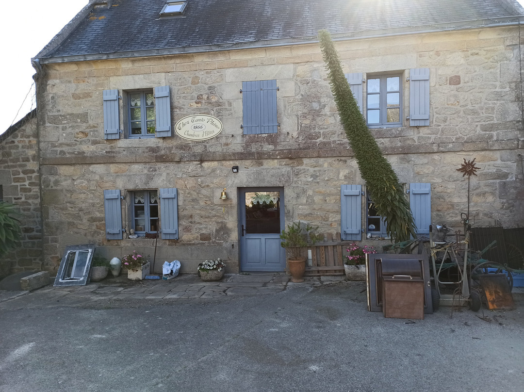 Chez Tante Phine主图