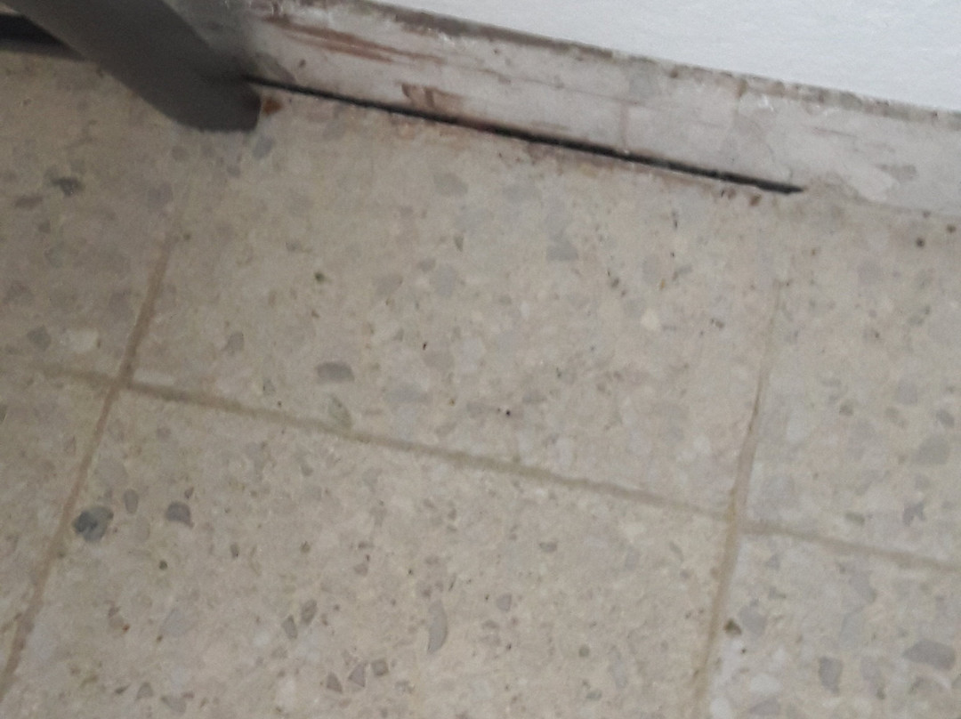 Hotel Am Kurpark Spath主图