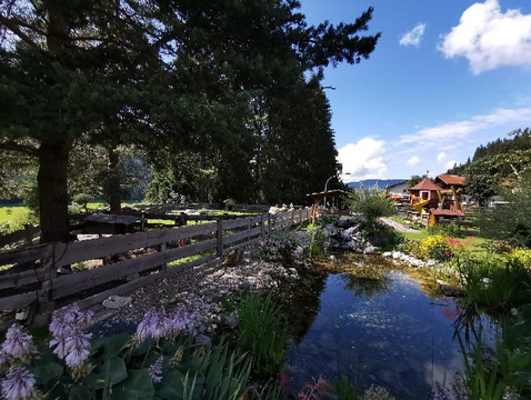 Forellenhof-Gasthof Hammerwirt主图