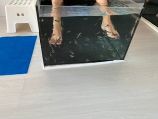 O' Fish Spa景点图片