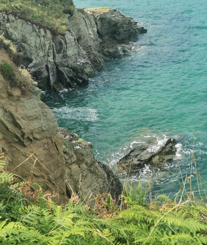 East Portlemouth & Gara Rock Trail景点图片