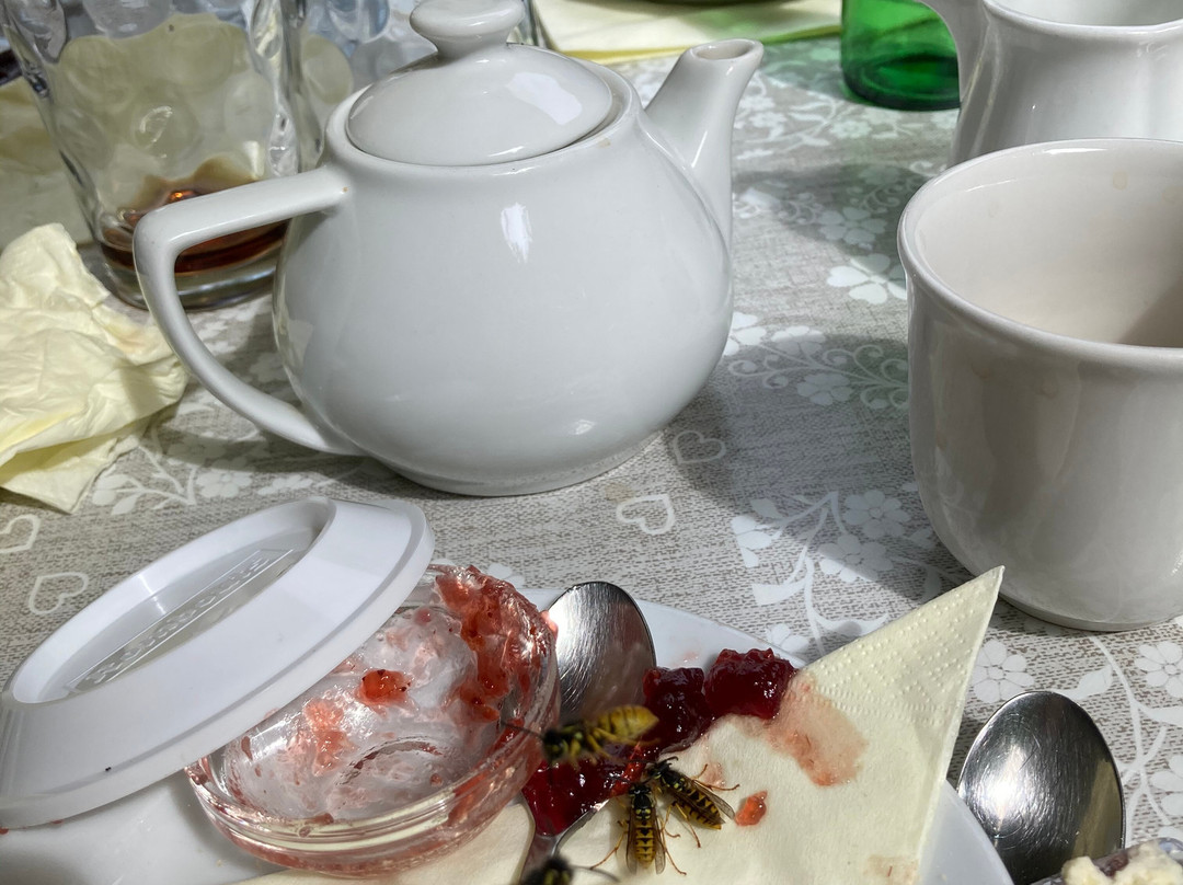 Docton Mill Gardens & Tea Rooms景点图片