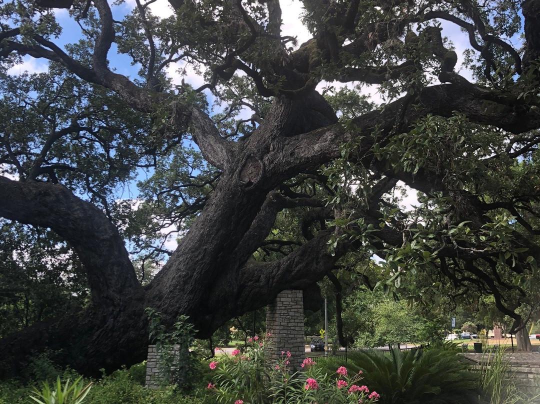 Landa Park-新布朗费尔斯必去景点