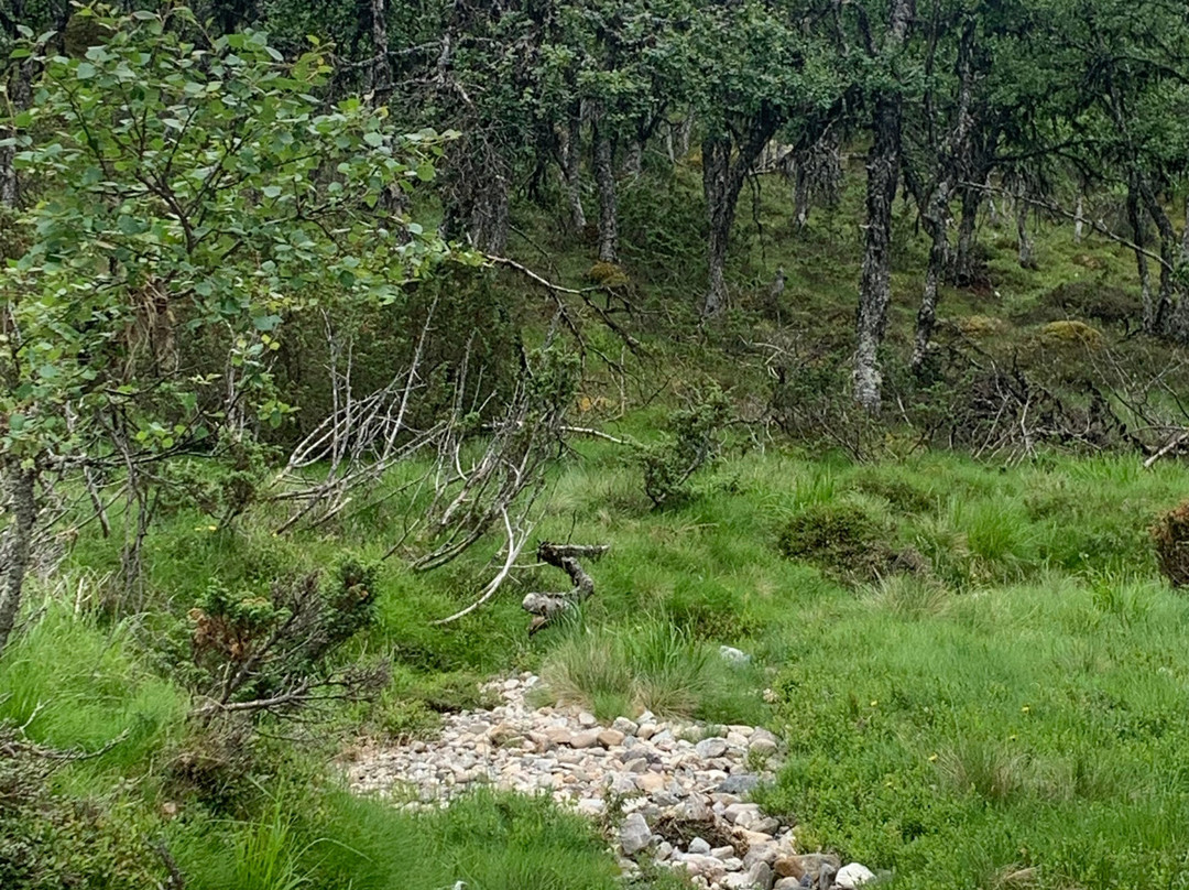 Lövåsgårdens Fjällhotell主图