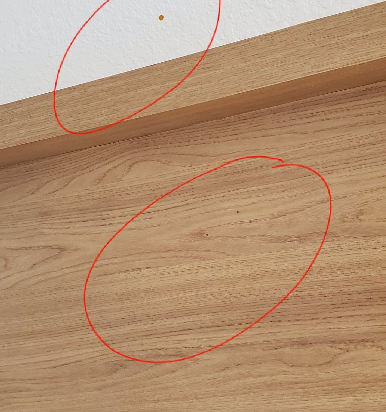 特拉斯特马克公园珀尔假日酒店主图