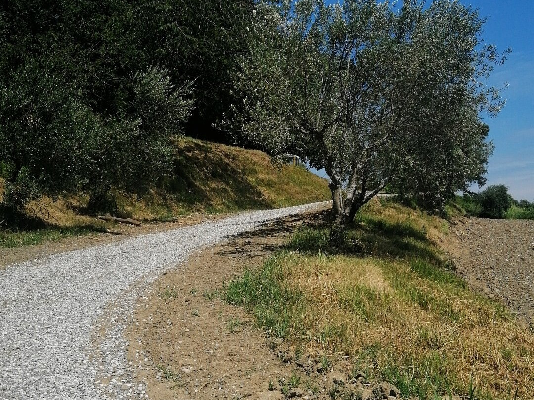 Sentiero delle Vigne alte景点图片