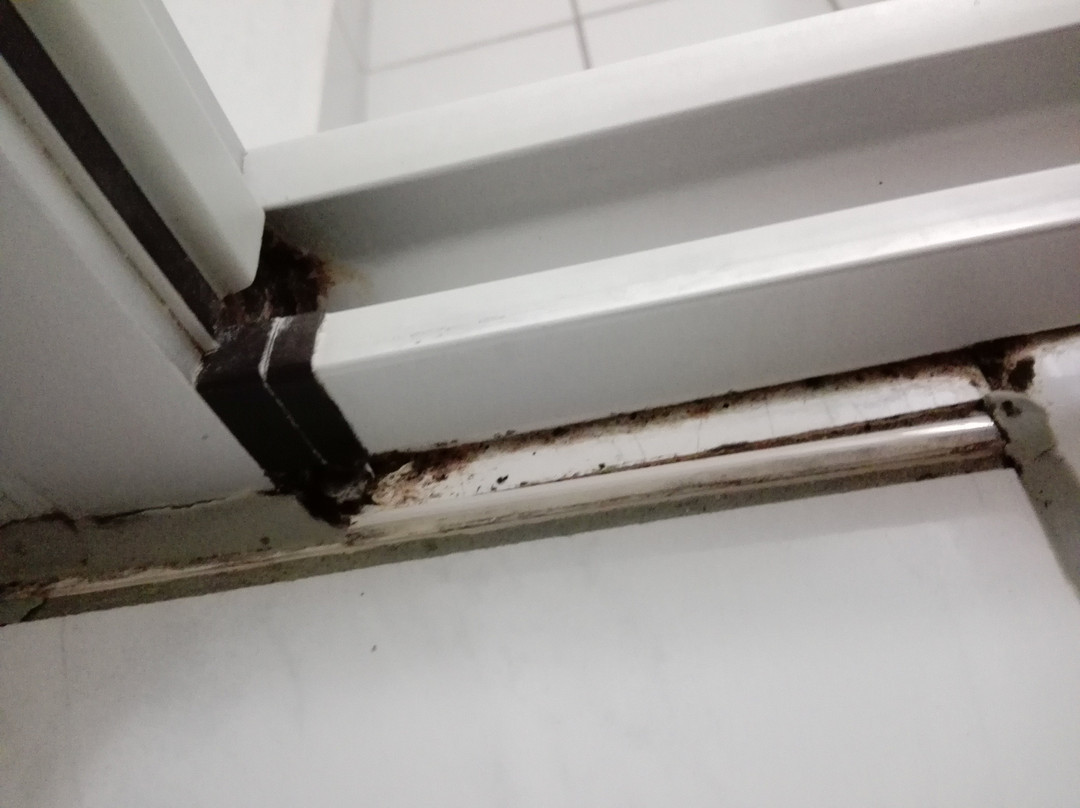 Hotel Schweizer Haus主图