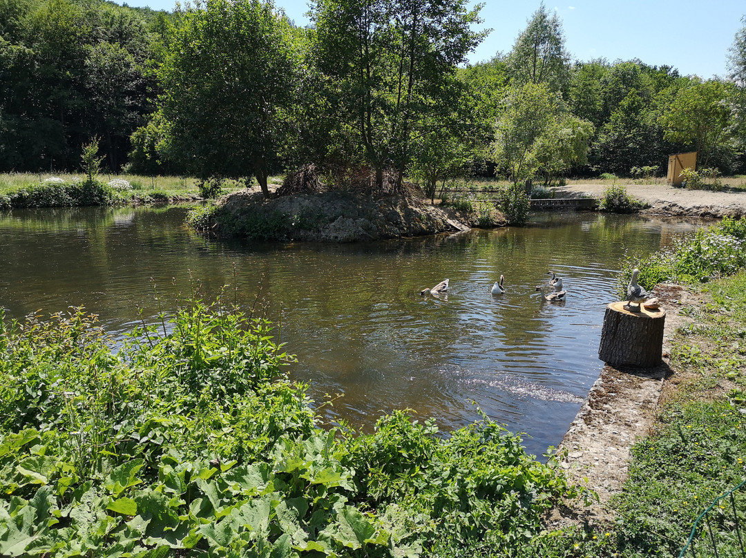 Le Moulin Berthon主图