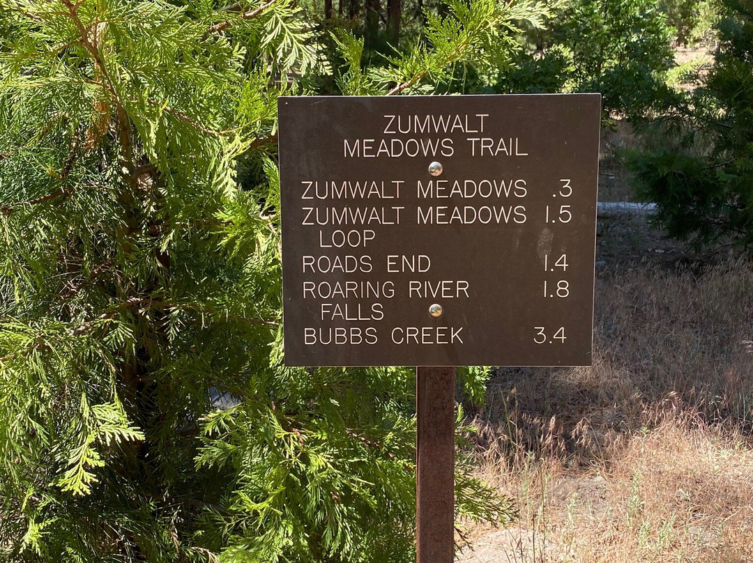 Zumwalt Meadow Trail-红杉&国王峡谷国家公园必去景点