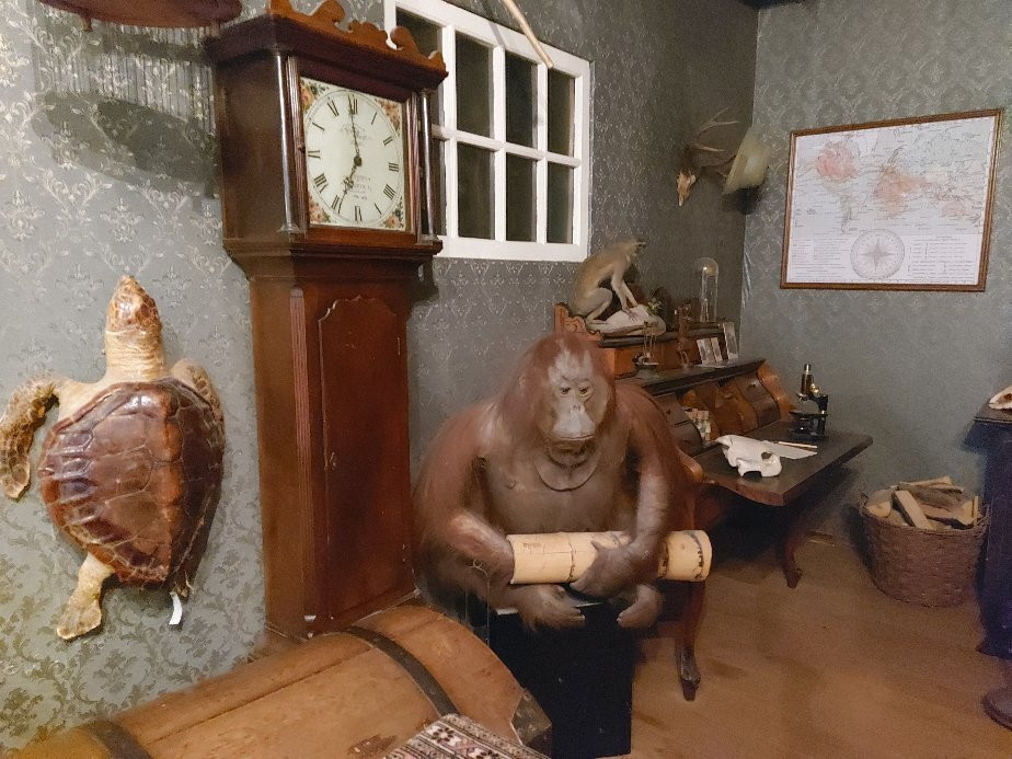 Natuurmuseum Fryslan-吕伐登必去景点
