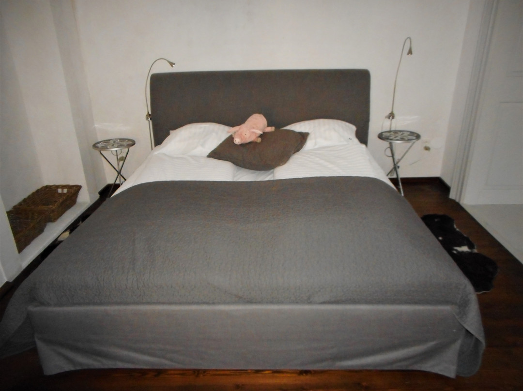 Gavalier Design Rooms主图