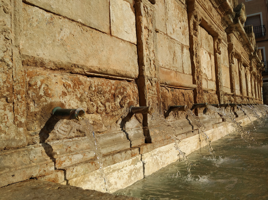 Fuente de los Veinte Canos景点图片