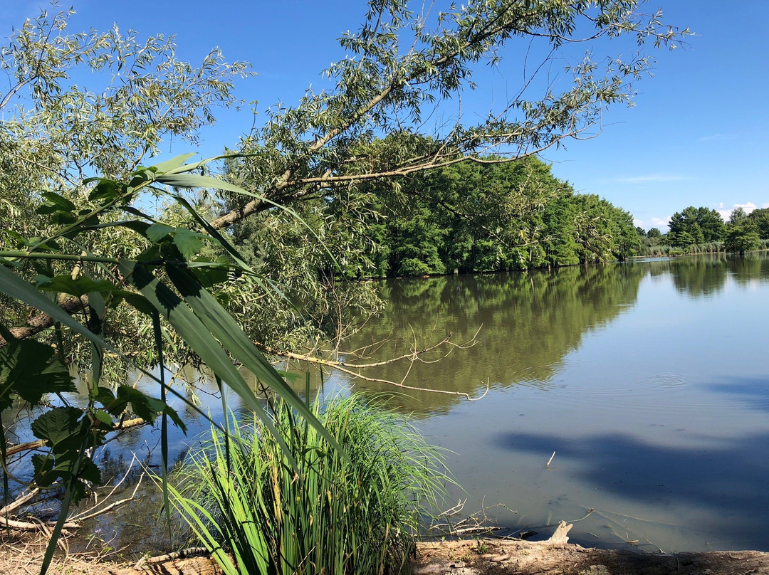 Etang de Boulieu景点图片