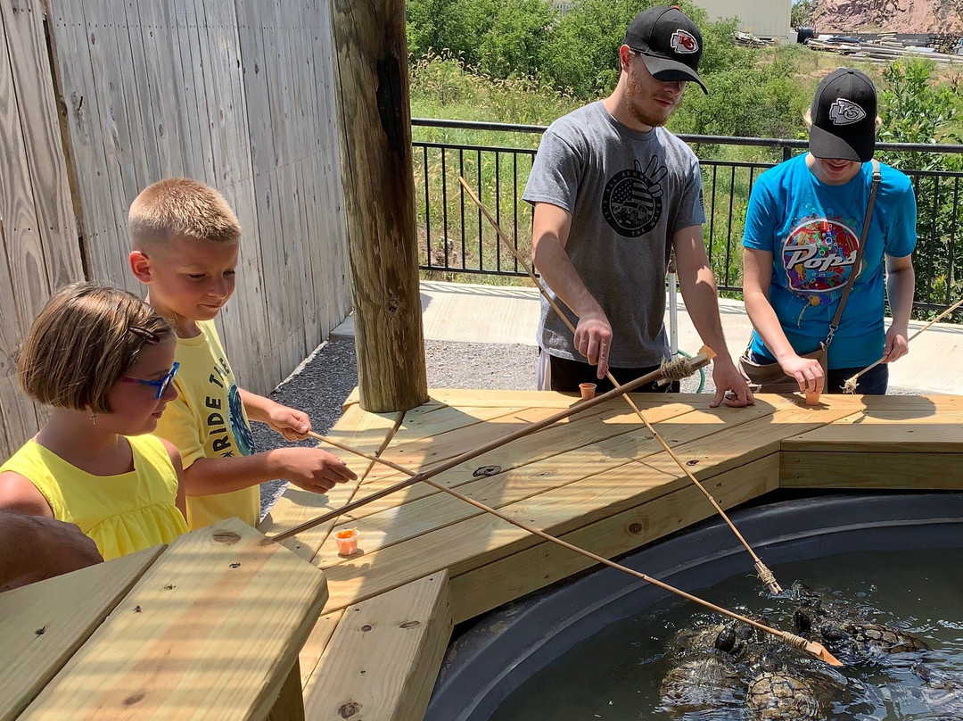 Medicine Park Aquarium and Natural Sciences Center-劳顿必去景点