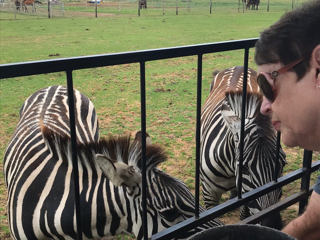 Dutch Creek Farm Animal Park景点图片