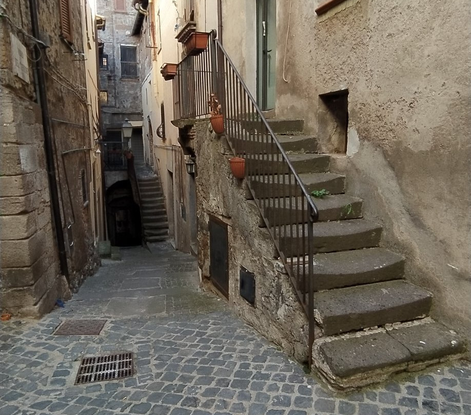Palazzo Comunale di Vetralla景点图片
