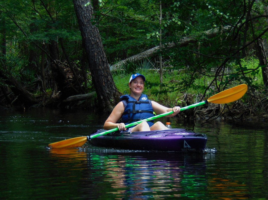Gator Bait Adventure Tours-美特尔海滩必去景点