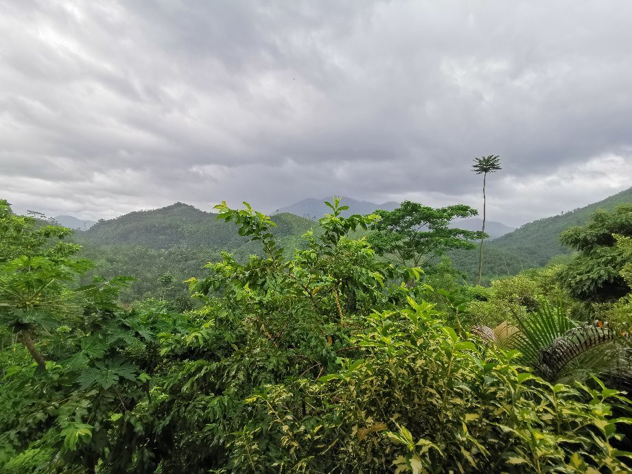 Paradise Eco Garden主图