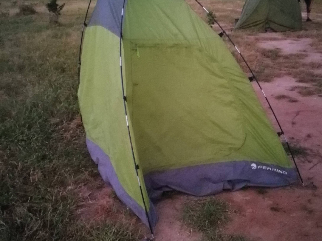 Eyte Voyages Tchad-恩加美纳必去景点