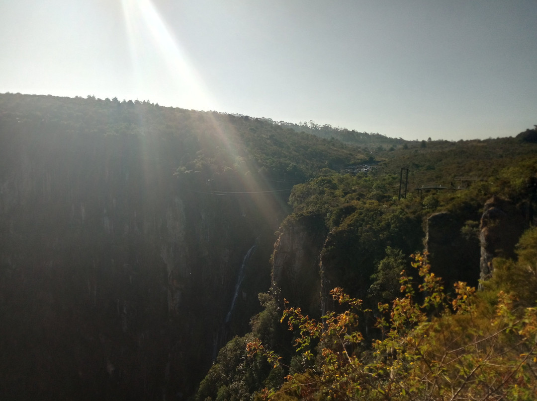 Smart Adventure Safari景点图片