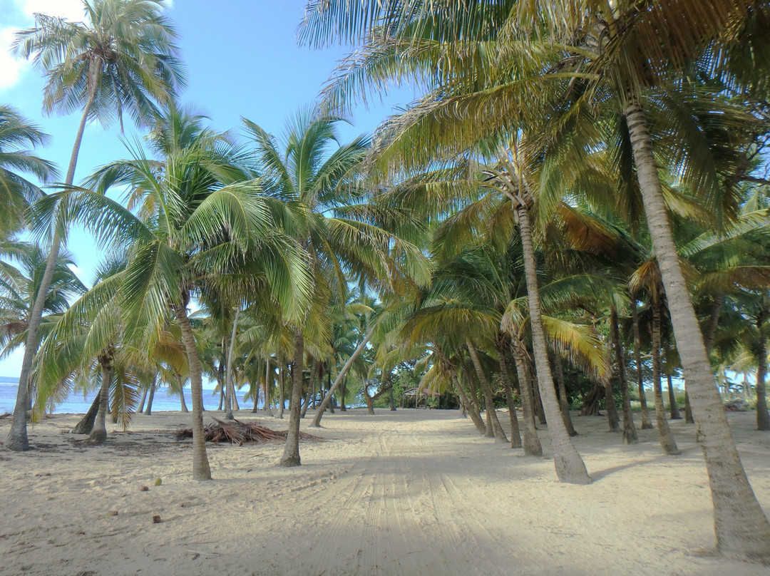 Satevan Chauffeurs Prives-Sainte-Anne必去景点