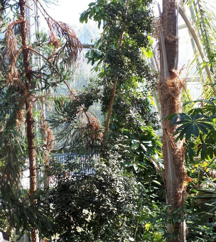 Botanical Garden (Botanischer Garten)景点图片