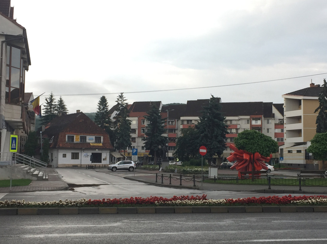 Piata Petru Rares景点图片
