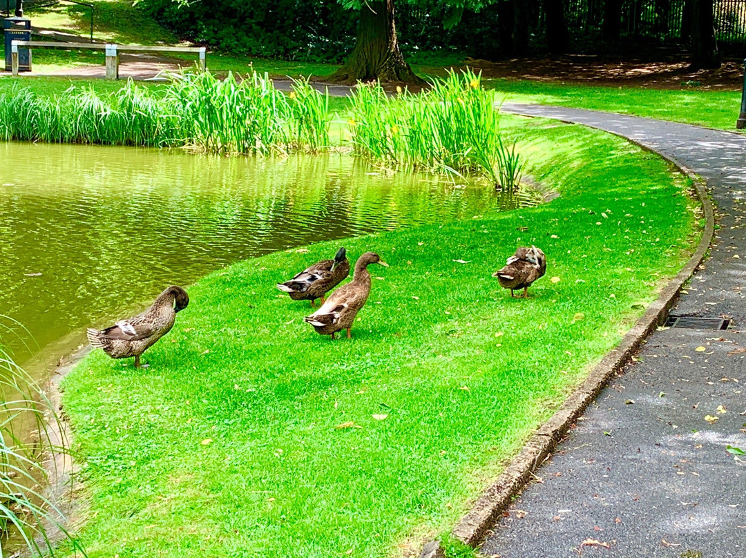 Tring Memorial Garden-Tring必去景点